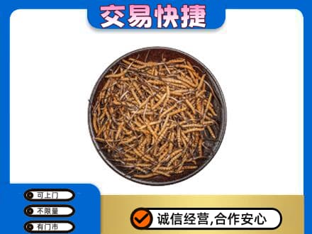 齐齐哈尔依安回收散虫草